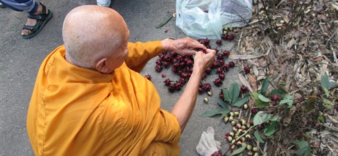 活在當下